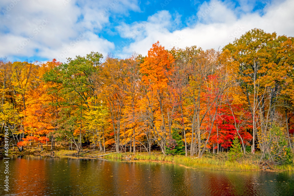 Fall colours on the shore in Canada Fall colours on the shore in Canada