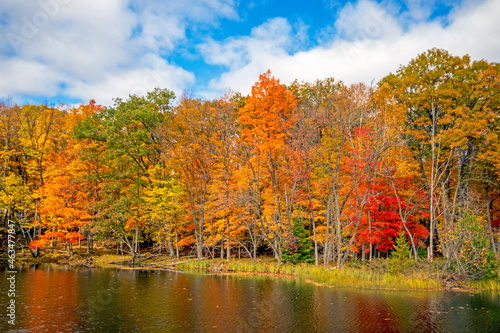 Fall colours on the shore in Canada