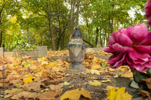 znicz i kwiat na cmentarzu
