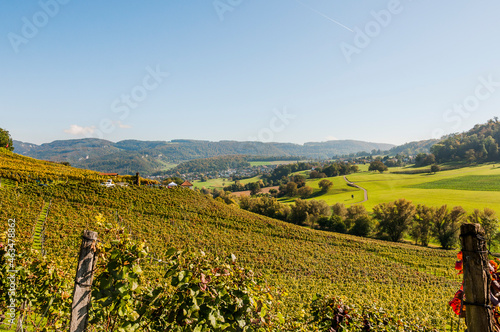 Aesch, Klus, Weinberge, Rebbergweg, Pfeffingen, Birseck, Baselland, Wanderweg, Landwirtschaft, Herbst, Herbstfarben, Schweiz, Nordwestschweiz