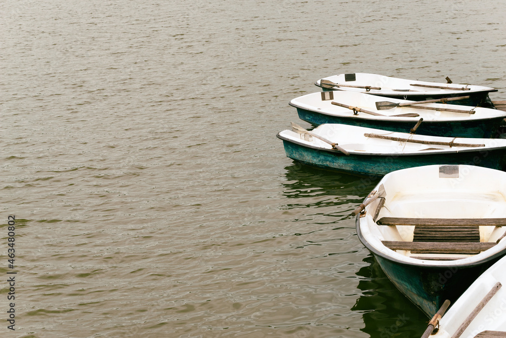 Boats moored at the pier for walks on the lake