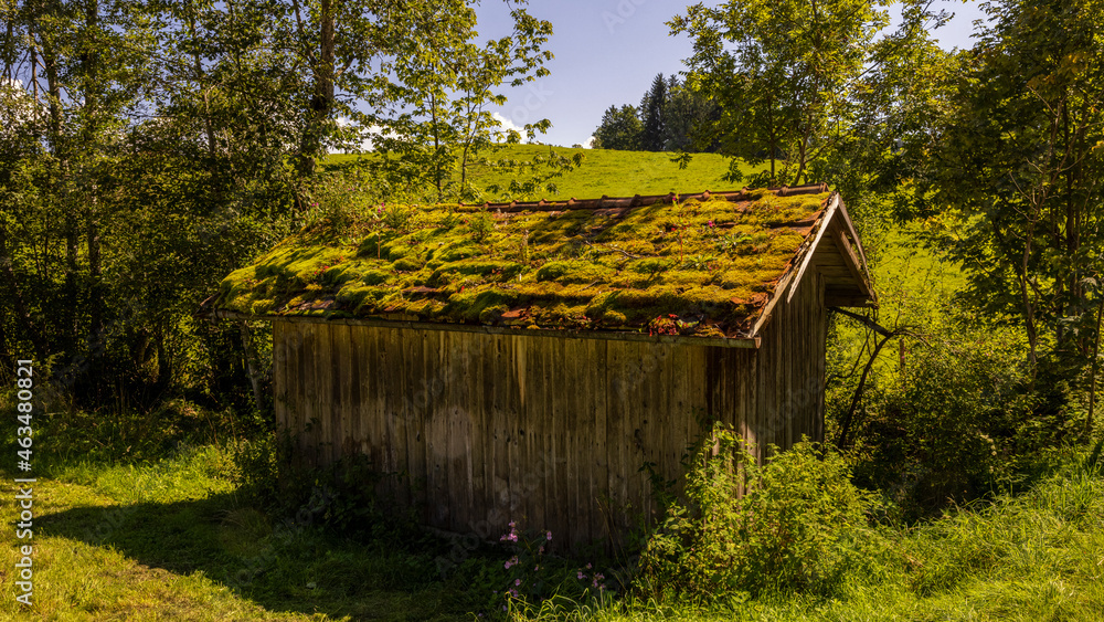 eine alte Hütte mit Moos auf dem Dach im Wald