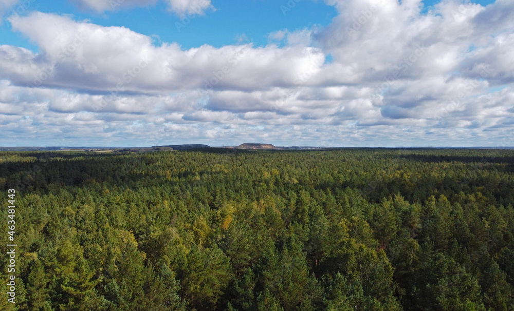 Top view of beautiful green coniferous forest with blue sky during day Top view of beautiful green coniferous forest with blue sky during day