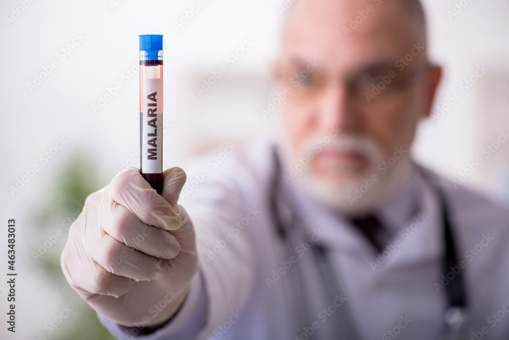 Old male doctor hematologist working in the clinic Old male doctor hematologist working in the clinic