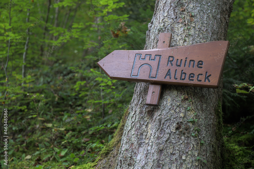 Wegweiser Ruine Albeck an Baum im Wald 
