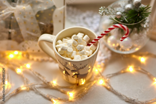 Cup of Chocolate with Marshmallows, Christmas Decorations