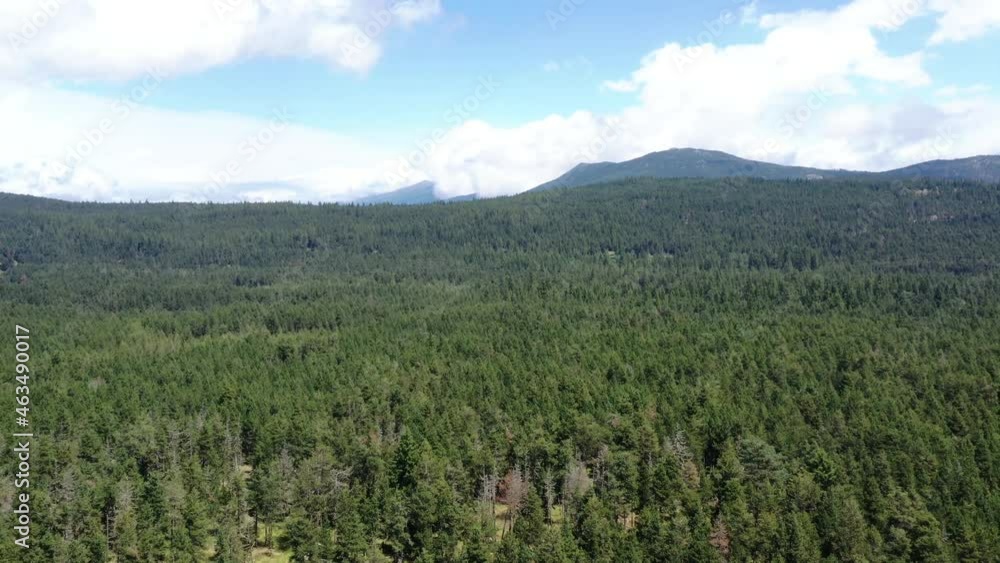 survol de foret, rivières, torrents et lacs de montagne en France dans les Pyrénées