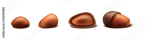  vector icon. Pine nut collection in different shape with and without shell. Isolated on white background.