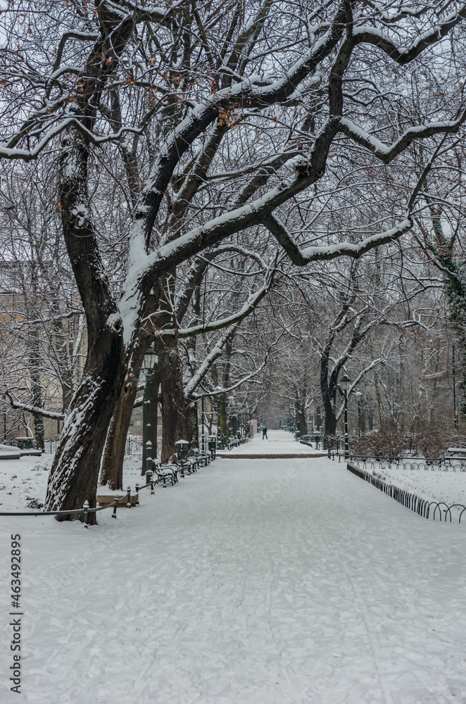 Naklejka premium Winter Planty park in the snow, Krakow, Poland