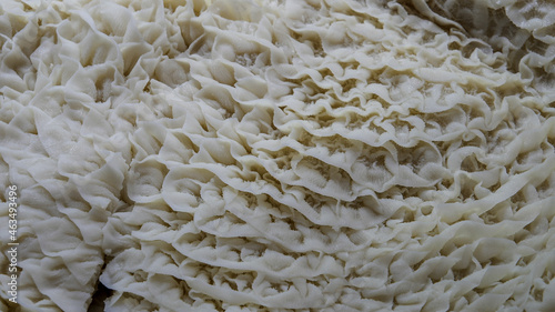 Fotografi Closeup of beef tripe; edible lining from the stomachs of various farm animals