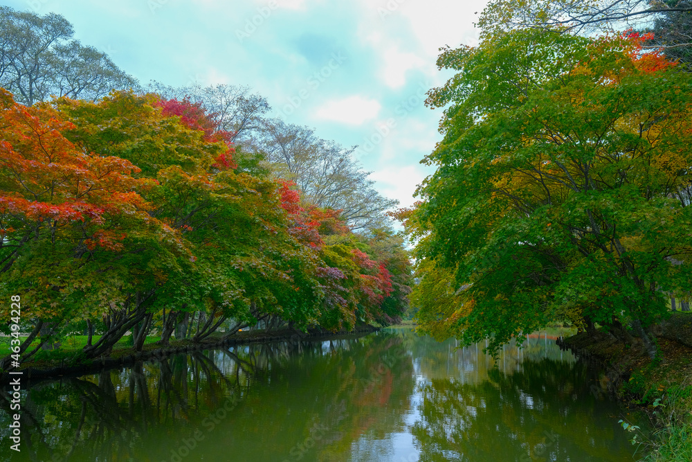 清水公園の紅葉 清水公園の紅葉