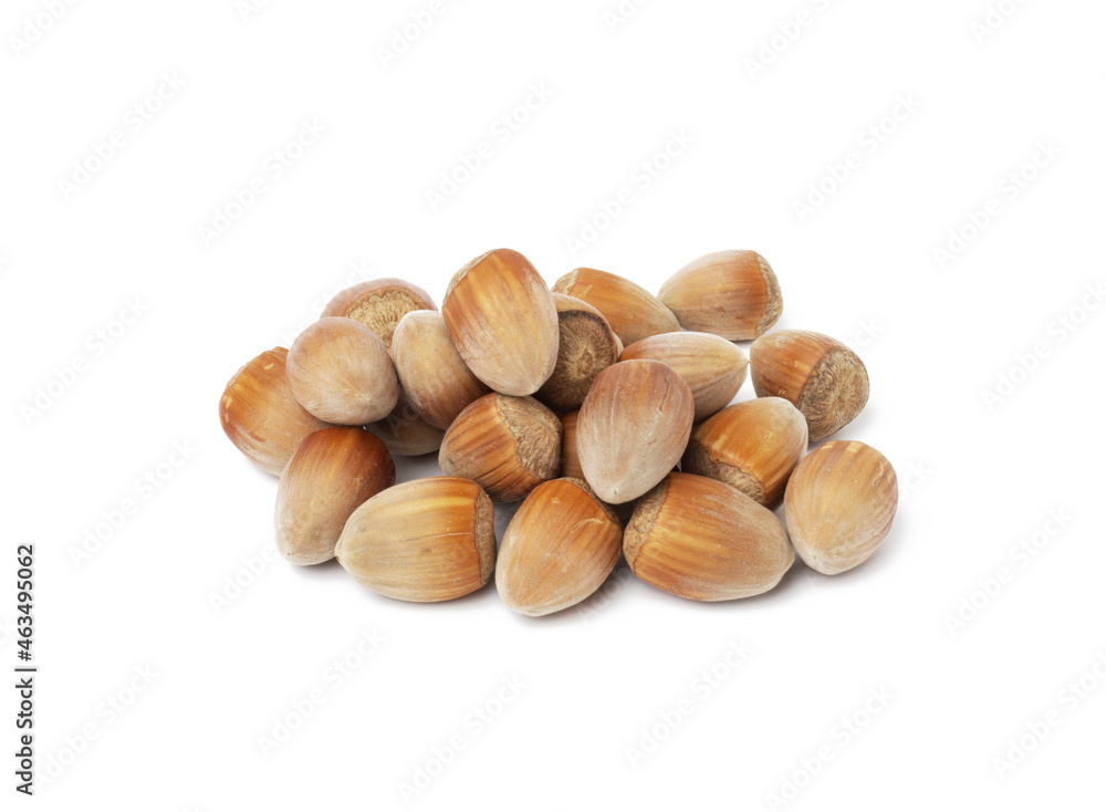 pile of hazelnuts in shell on white isolated background pile of hazelnuts in shell on white isolated background
