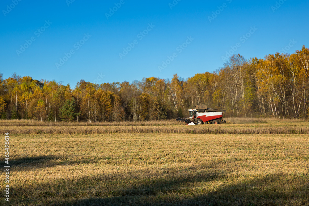 Combine harvester harvesting in a field in autumn Combine harvester harvesting in a field in autumn