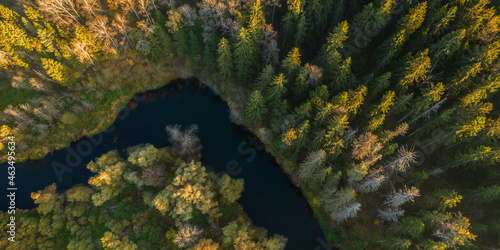 Fototapeta Naklejka Na Ścianę i Meble -  Aerial photography forest and river, top view