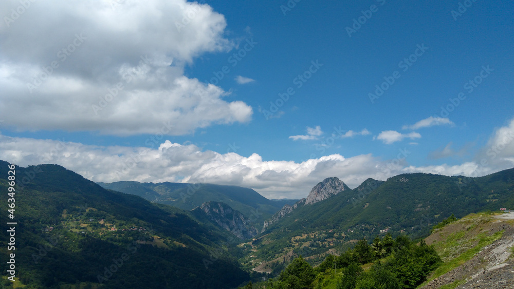 lush forest and blue sky with white clouds and mountains