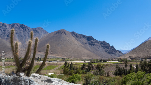 Valle del Elqui - Octubre 2021