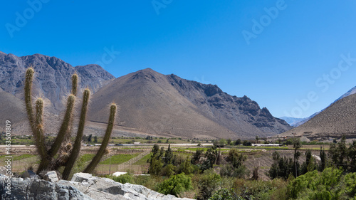 Valle del Elqui - Octubre 2021 photo