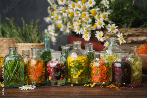 Bottles of essential oil or infusion of medicinal herbs and berries - rosemary, calendula, tansy, monarda bergamot, chamomile. Healing plants, medicinal herbs and berries. Alternative herbal medicine