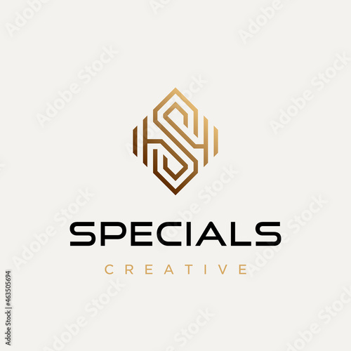 Creative sign line dumbbells with abstract letter S logo design template
