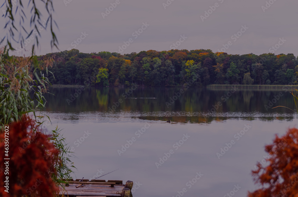 Beautiful autumn