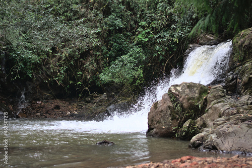 Waterfall surrounded by grass within a forest