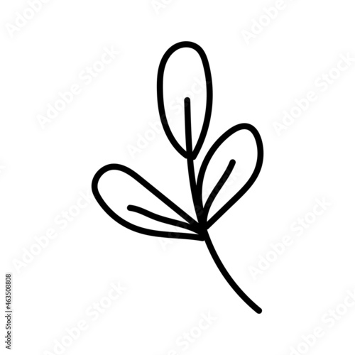 Hand drawn vector doodle illustration, abstract handwriting. Scribbled shape of a twig with leaves