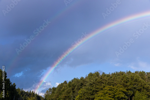 森の上に架かる二重の虹