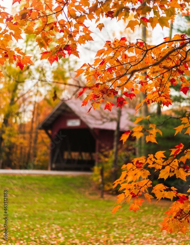 Vermont fall foliage
