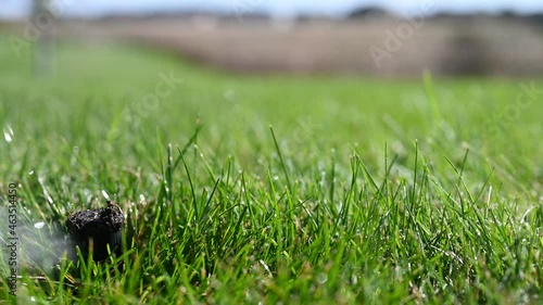 winterizing a irrigation sprinkler system by blowing pressurized air through to clear out water