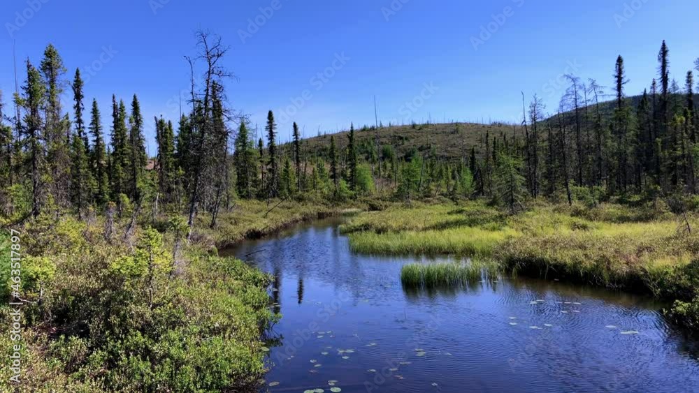 Clear beautiful blue sky with flowing river and stream, tree and grass-lined river bank. Clear beautiful blue sky with flowing river and stream, tree and grass-lined river bank.