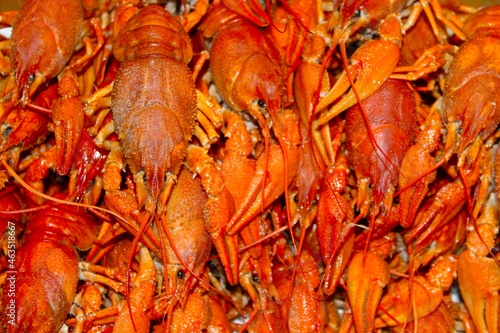 Boiled cancer lies like a mountain on top of each other.