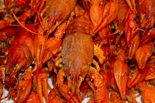 Boiled cancer lies like a mountain on top of each other.