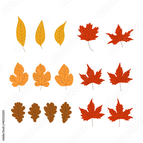 Set of flat leaves. Vector illustration of design elements for greeting cards, posters, wallpaper, surface, web design, textile, decor, print.
