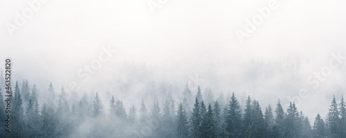 Wallpaper Mural Mystic landscape with fog Torontodigital.ca