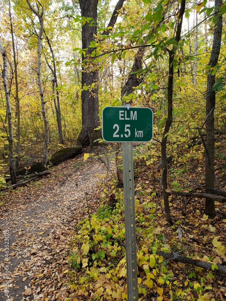 Beautiful path covered in fallen leaves at Beaudry Provincial Park, Manitoba. Beautiful path covered in fallen leaves at Beaudry Provincial Park, Manitoba.