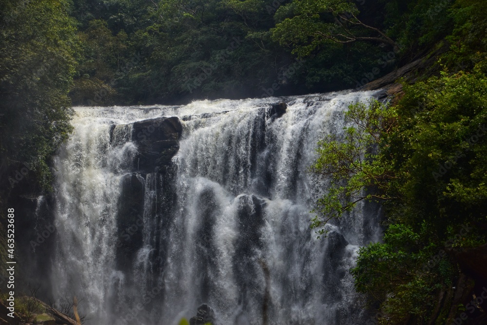 waterfall in the forest