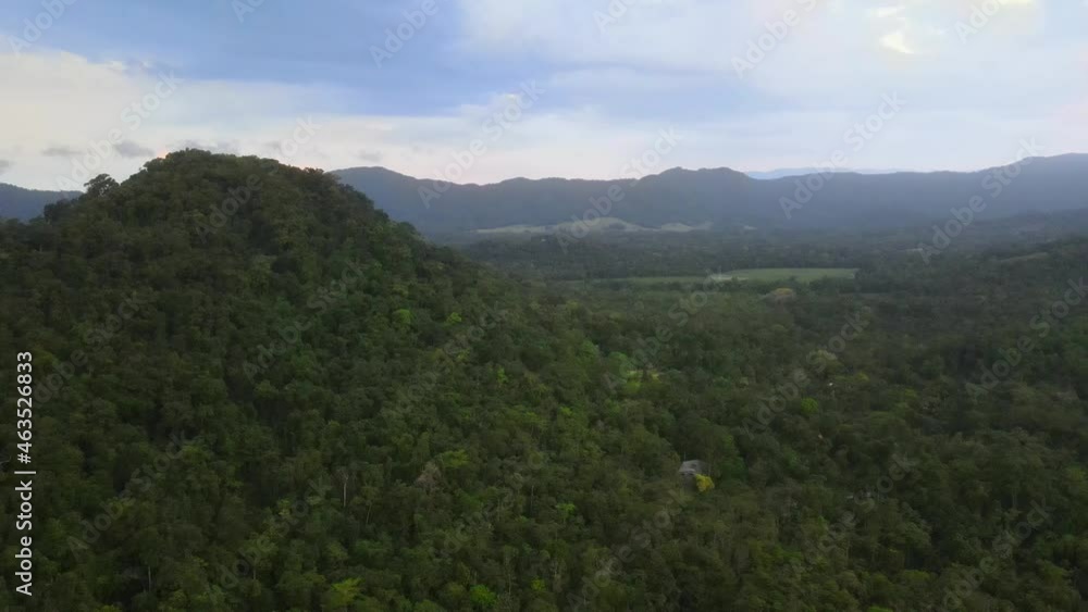 Aerial View Of The Vast Rainforest In Daintree National Park Under The Cloudy Blue Sky In QLD, Australia. aerial Aerial View Of The Vast Rainforest In Daintree National Park Under The Cloudy Blue Sky In QLD, Australia. aerial