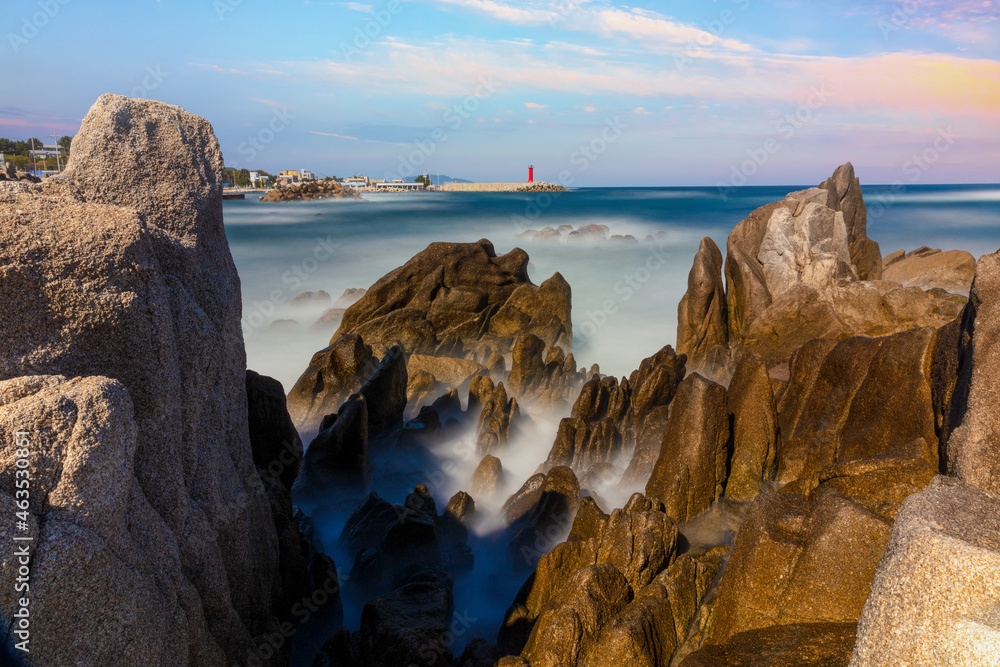 Fototapeta premium 바다와 소나무