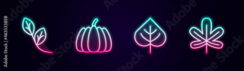 Set line Leaf, Pumpkin, and Chestnut leaf. Glowing neon icon. Vector