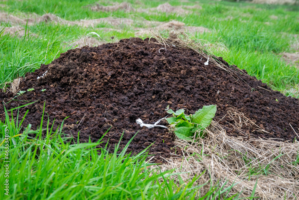 soil and grass soil and grass