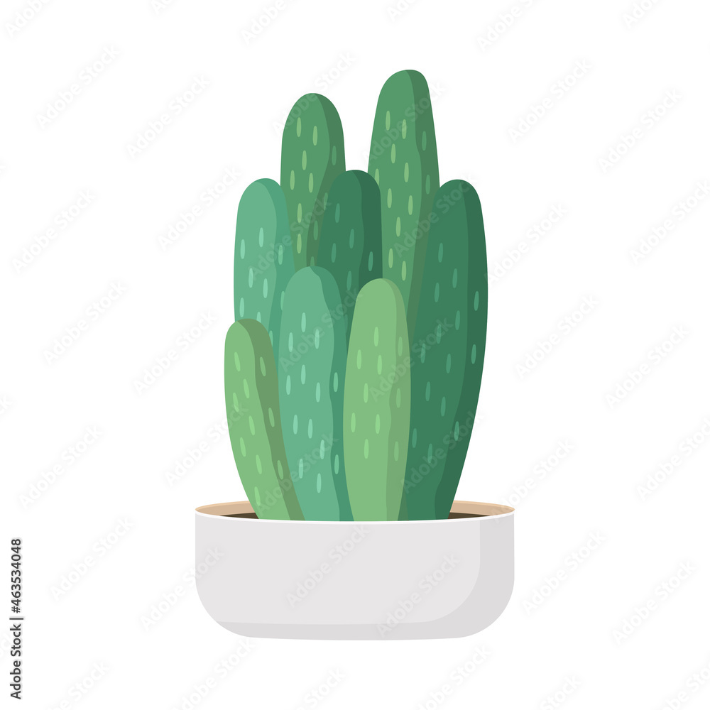 Cactus and succulent in pot domestic colorful cartoon vector illustration. Decorative flower plant. Isolated icon cacti Cactus and succulent in pot domestic colorful cartoon vector illustration. Decorative flower plant. Isolated icon cacti