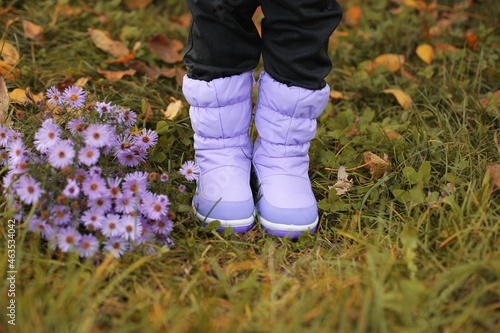 lilac boots on a background of green grass, lilac autumn flowers lie nearby © Тамара Киреева