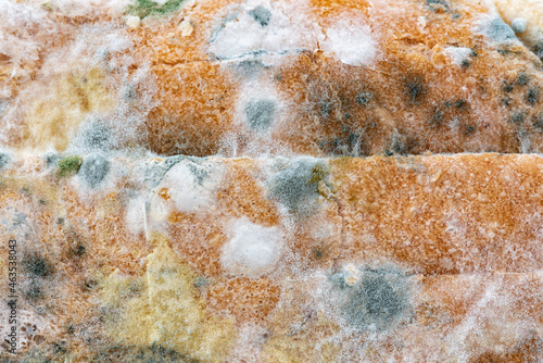close up expired moldy bread , can not eat any more on cement background photo