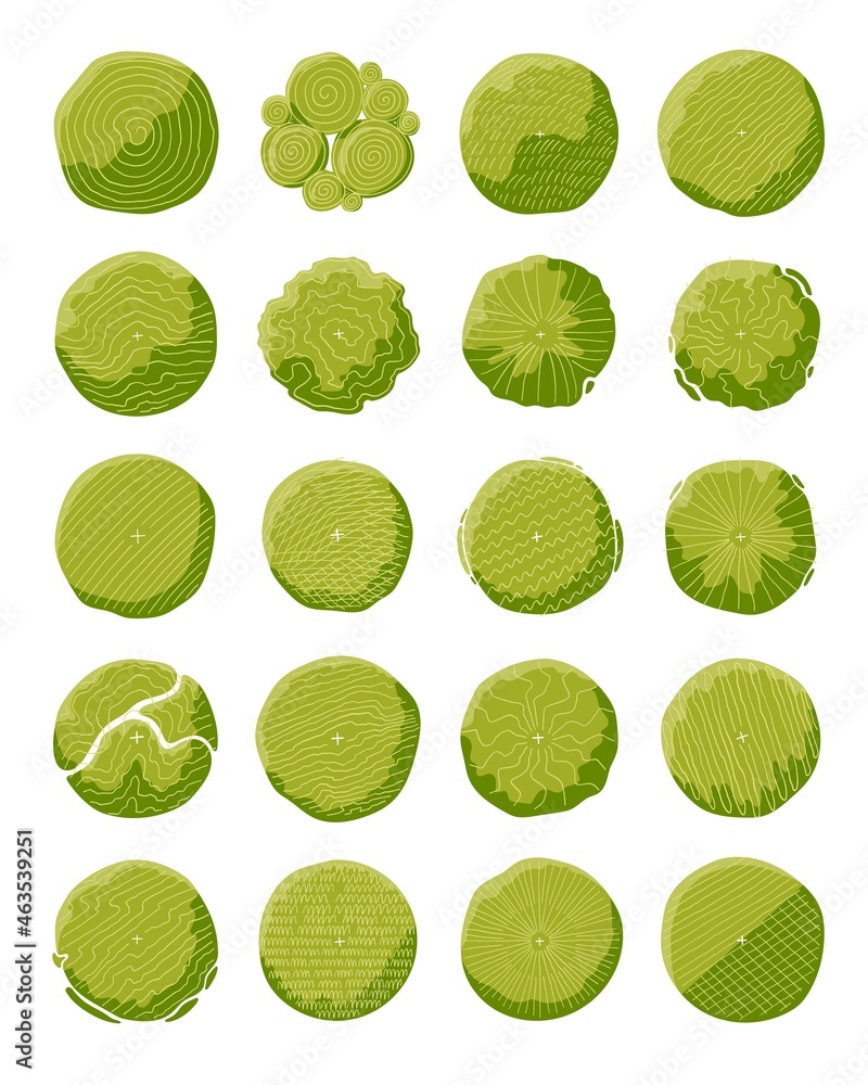 hand drawn vector set of top view tree.