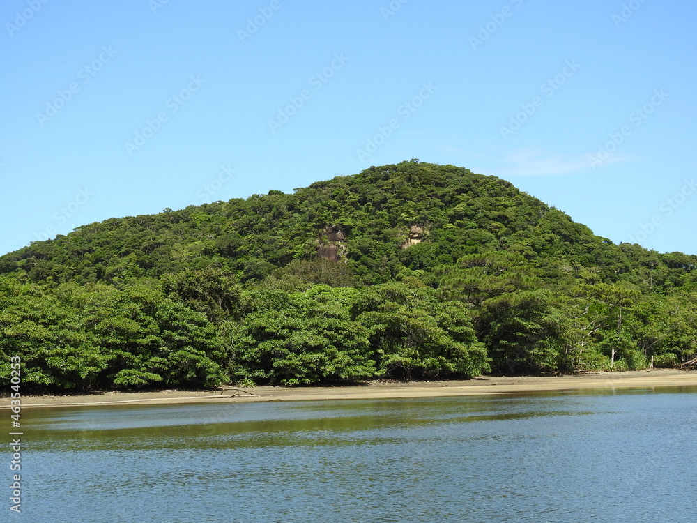 浦内川の風景 浦内川の風景
