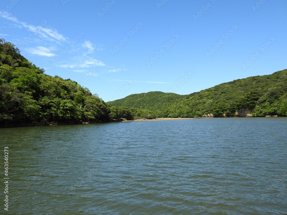 浦内川の風景 浦内川の風景