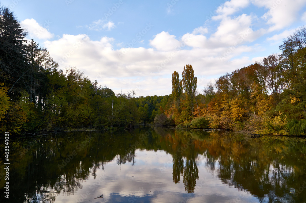 Lake reflections of fall foliage.