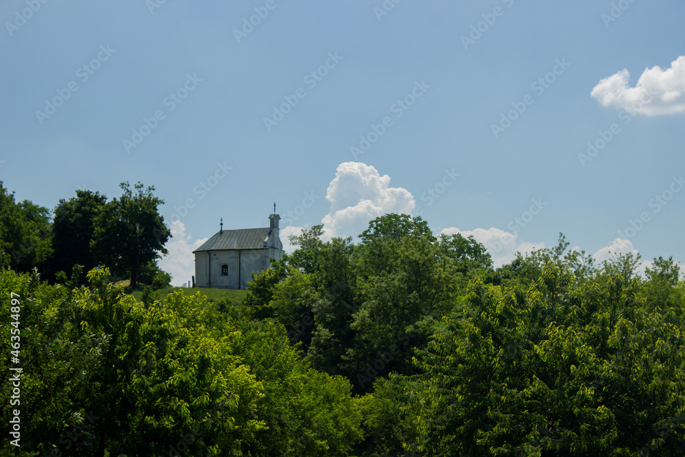 Saint mosaic in Orthodox monastery in Serbian national park Frushka Gora