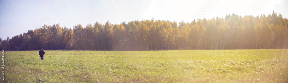 Landscape panorama of meadow with green grass and trees and blue cloudy sky. A man walks across the field.