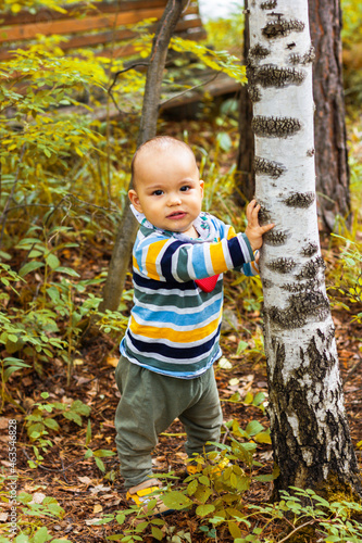 Cute baby boy standing near birch tree in autumn forest. Fall mood
